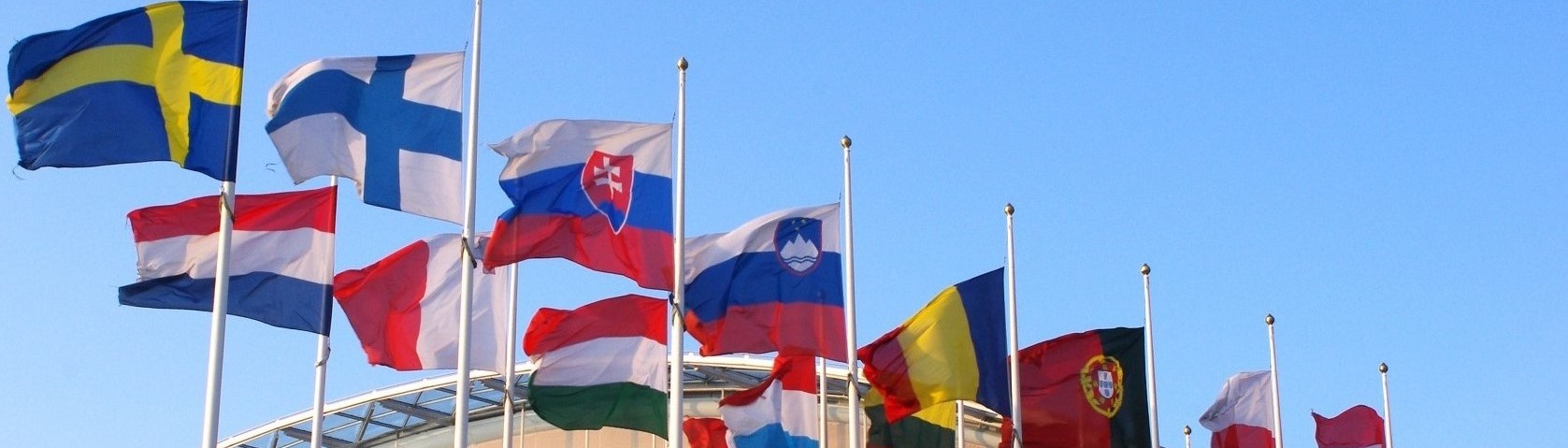 Executive Master in EU Studies - European flags